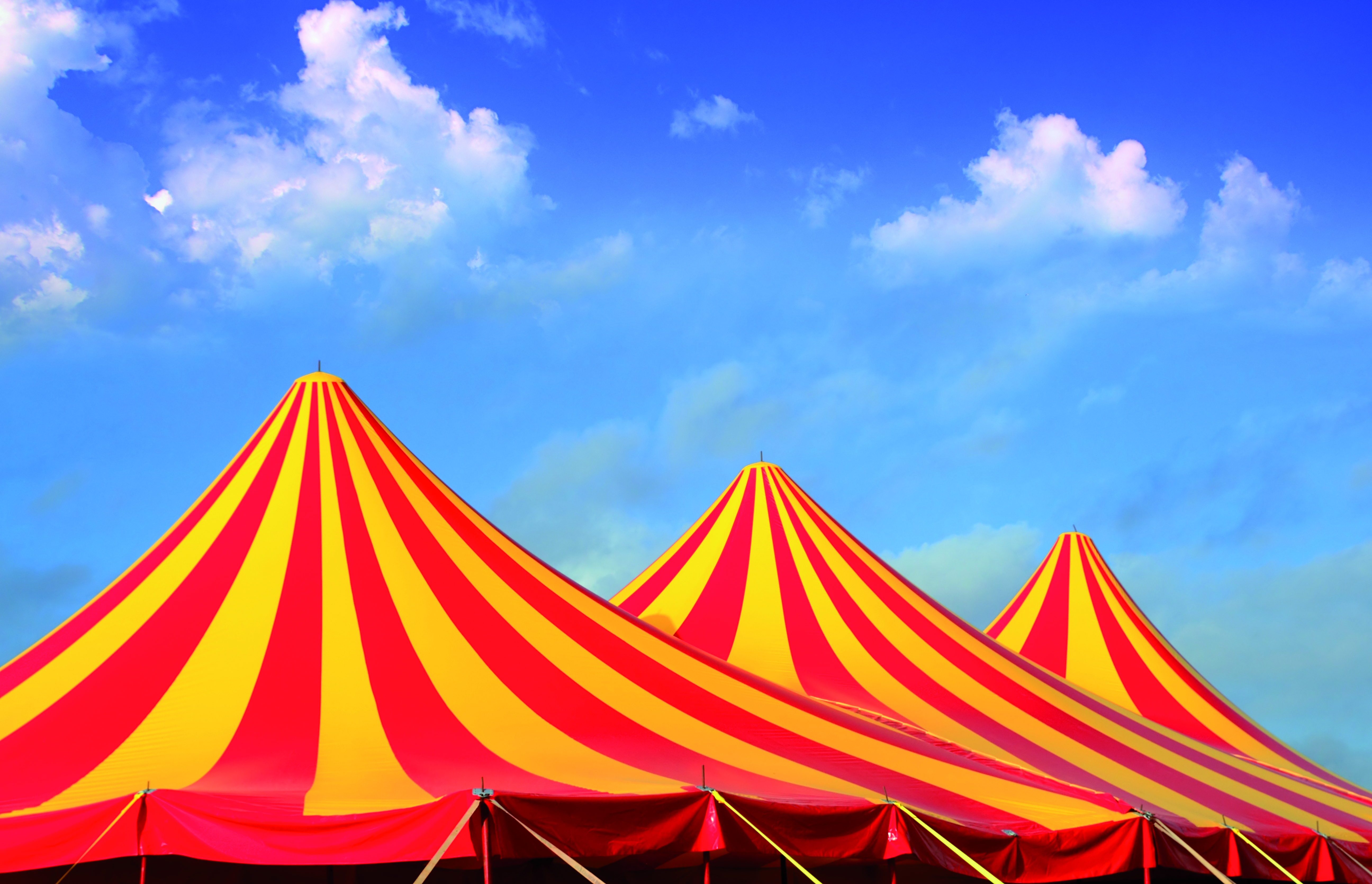 Geniet samen met jouw gezin van een prachtige circusvoorstelling! 