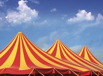 Geniet samen met jouw gezin van een prachtige circusvoorstelling!