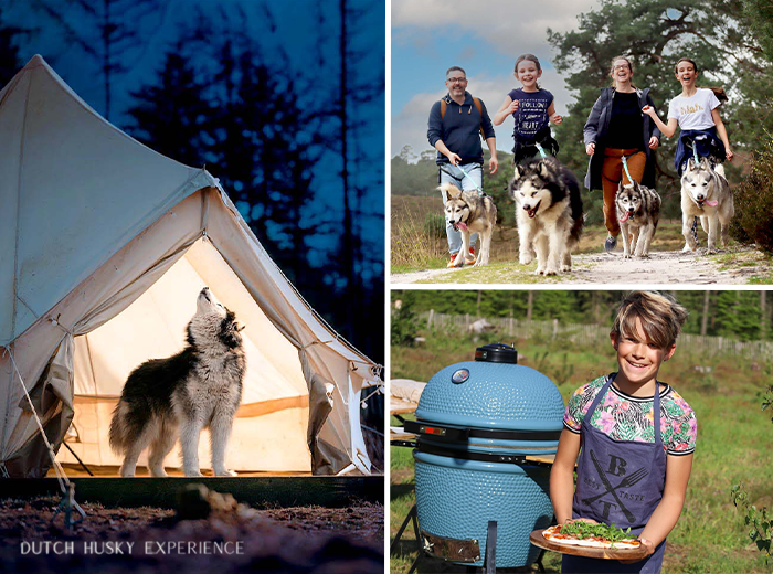 2-daags arrangement met husky's op de Veluwe