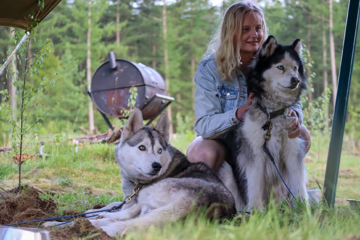 2-daags arrangement met husky's op de Veluwe