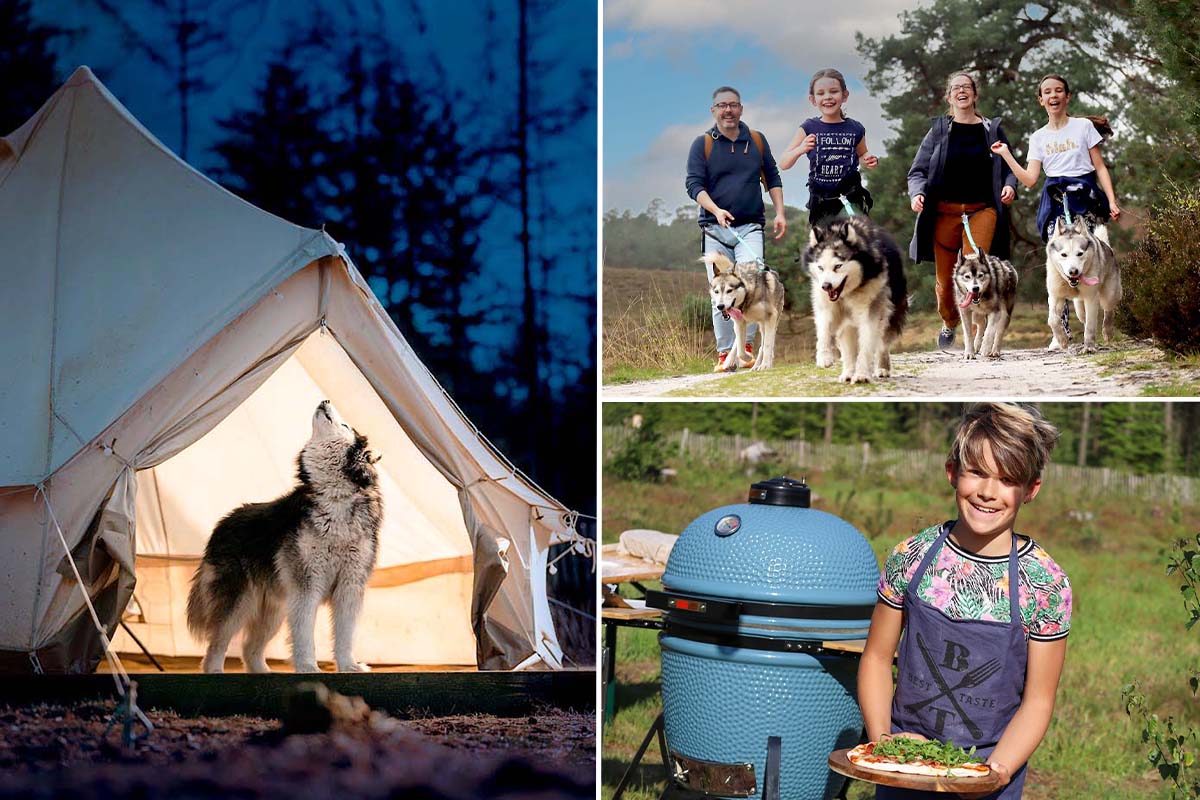 2-daags arrangement met husky's op de Veluwe