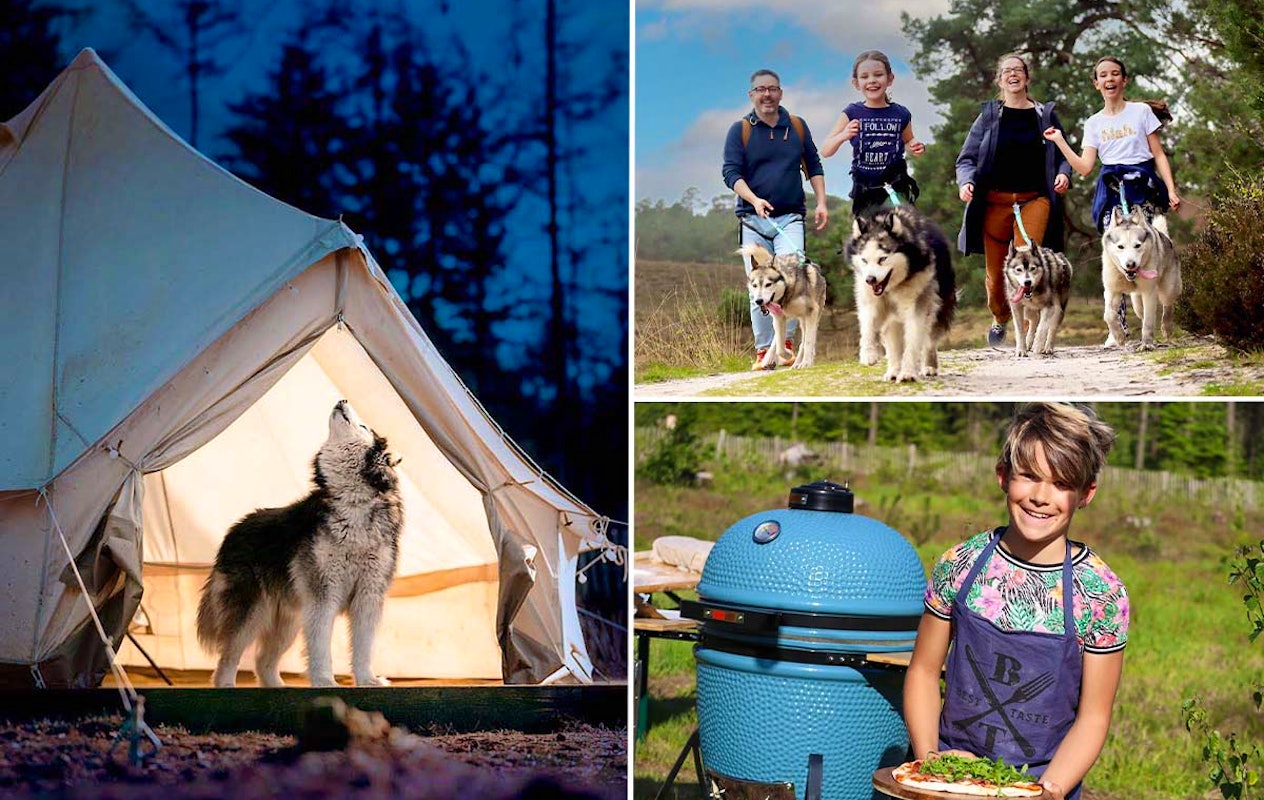 2-daags arrangement met husky's op de Veluwe