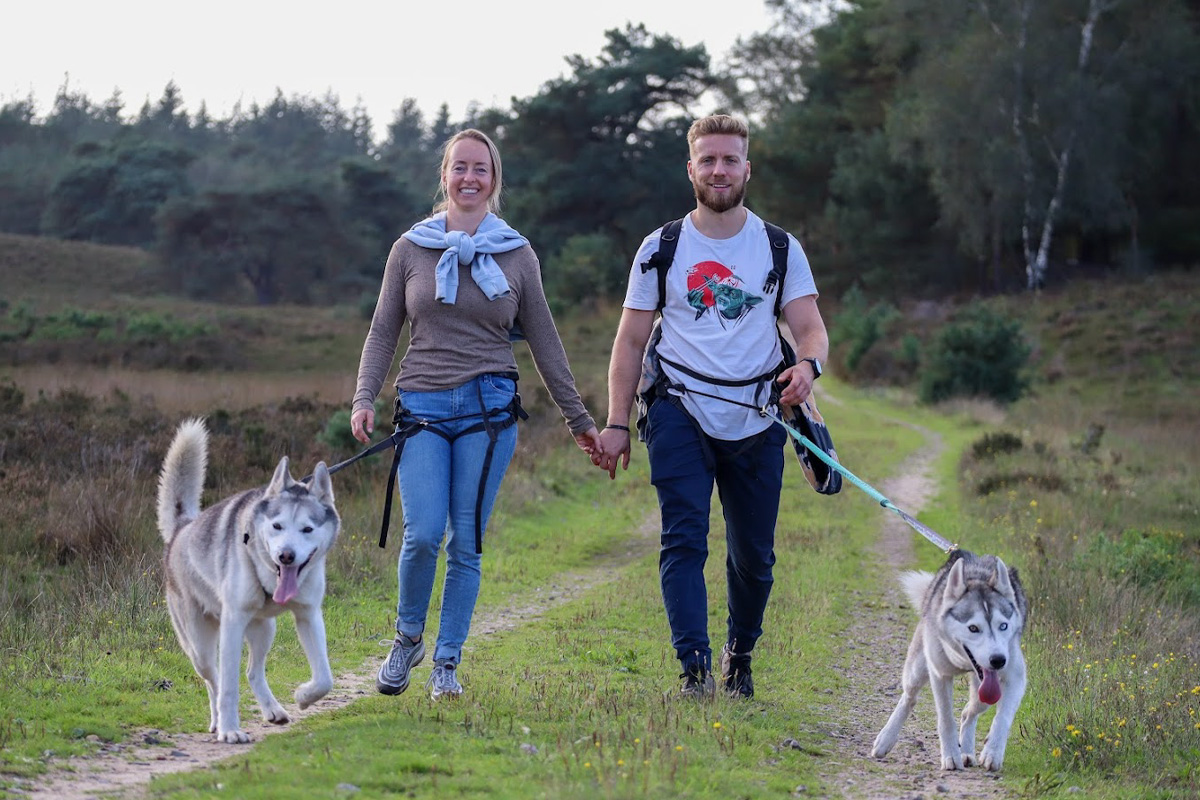 2-daags arrangement met husky's op de Veluwe