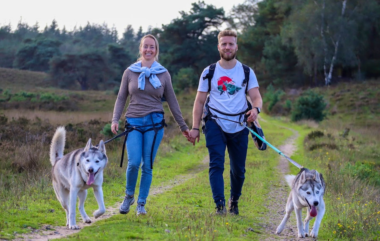2-daags arrangement met husky's op de Veluwe