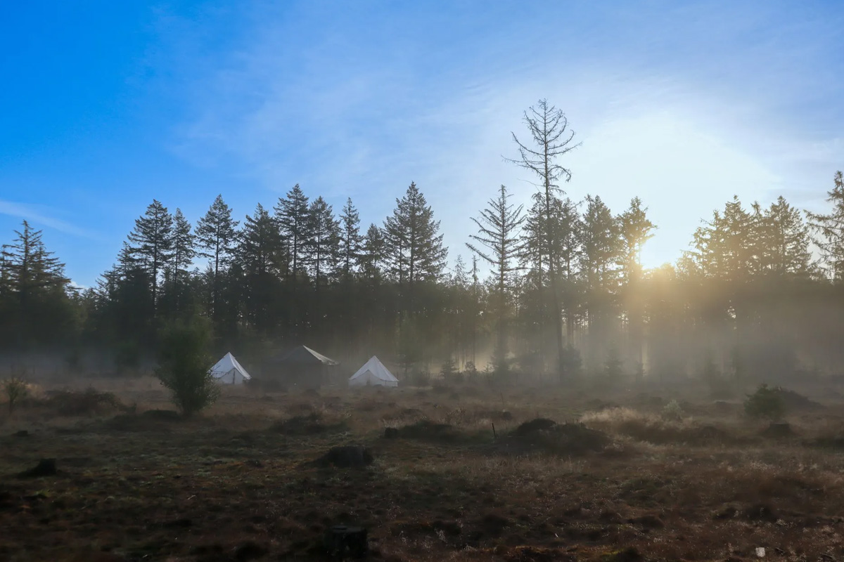 2-daags arrangement met husky's op de Veluwe