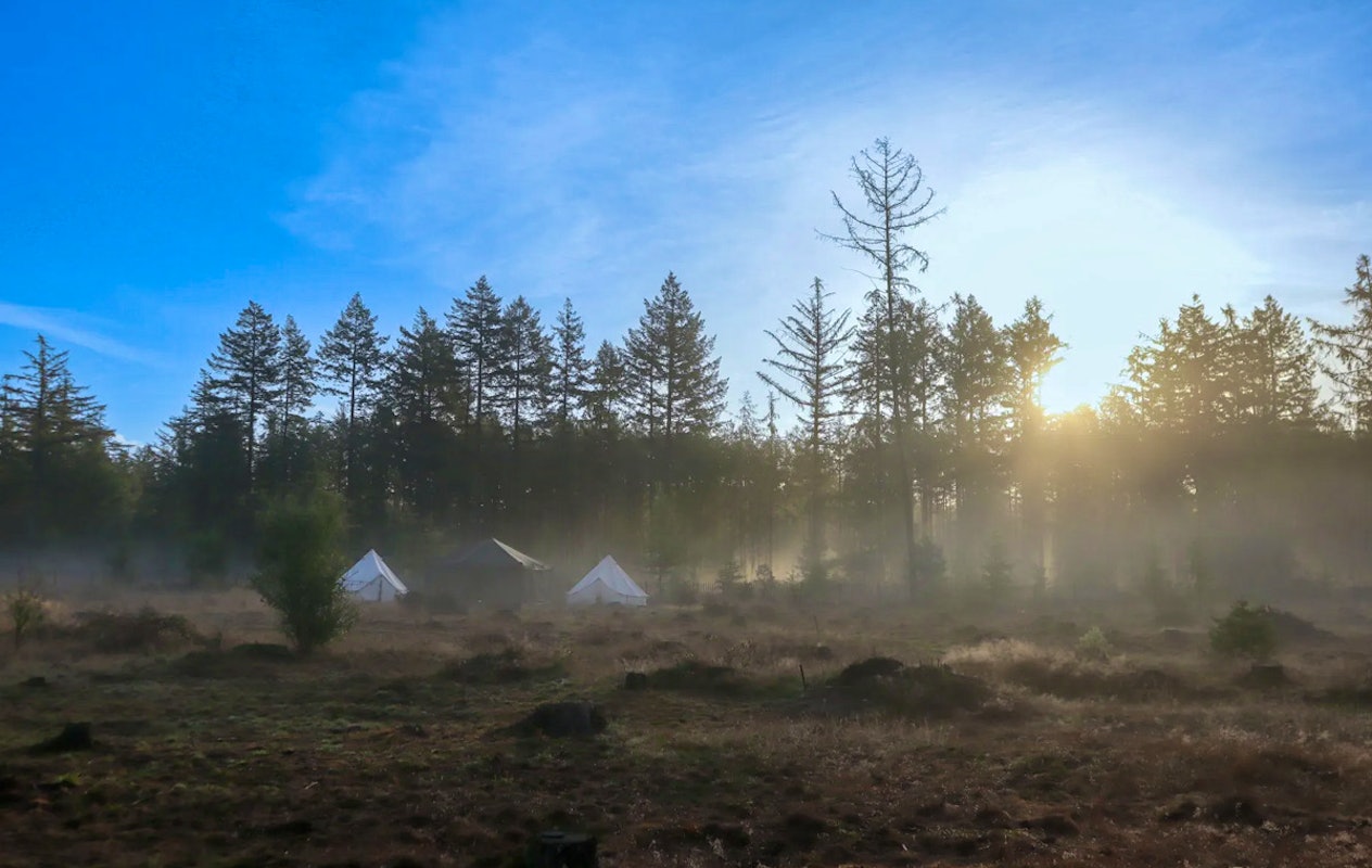 2-daags arrangement met husky's op de Veluwe