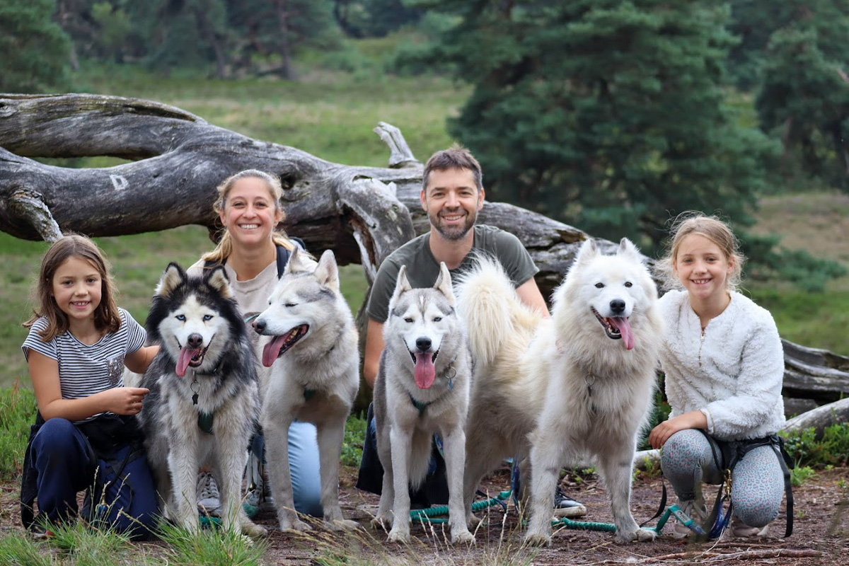 2-daags arrangement met husky's op de Veluwe