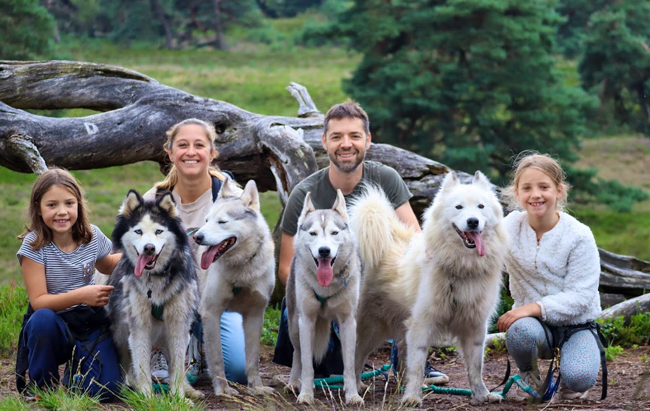 2-daags arrangement met husky's op de Veluwe
