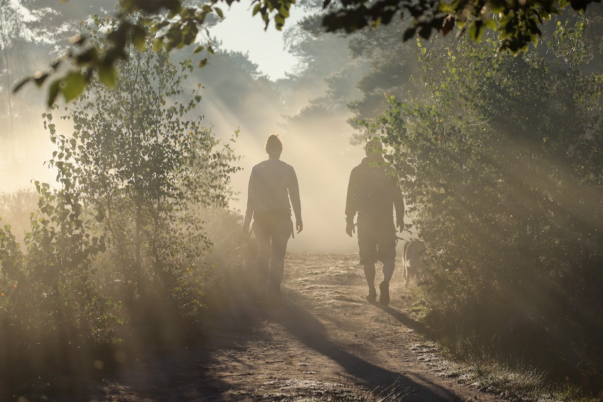 2-daags arrangement met husky's op de Veluwe