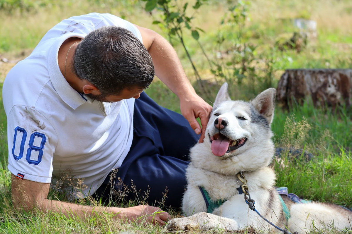 2-daags arrangement met husky's op de Veluwe