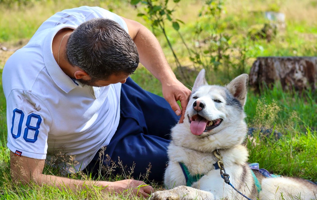 2-daags arrangement met husky's op de Veluwe