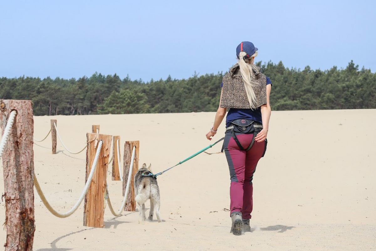 2-daags arrangement met husky's op de Veluwe