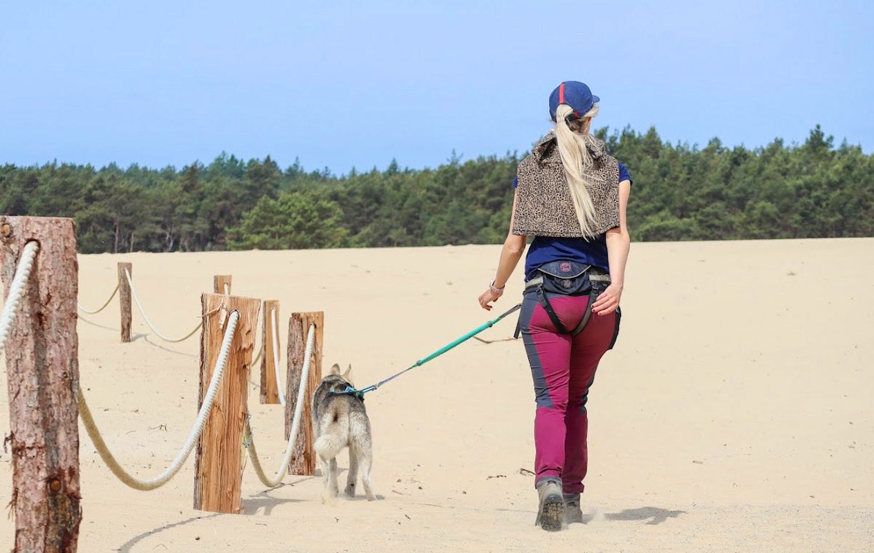 2-daags arrangement met husky's op de Veluwe