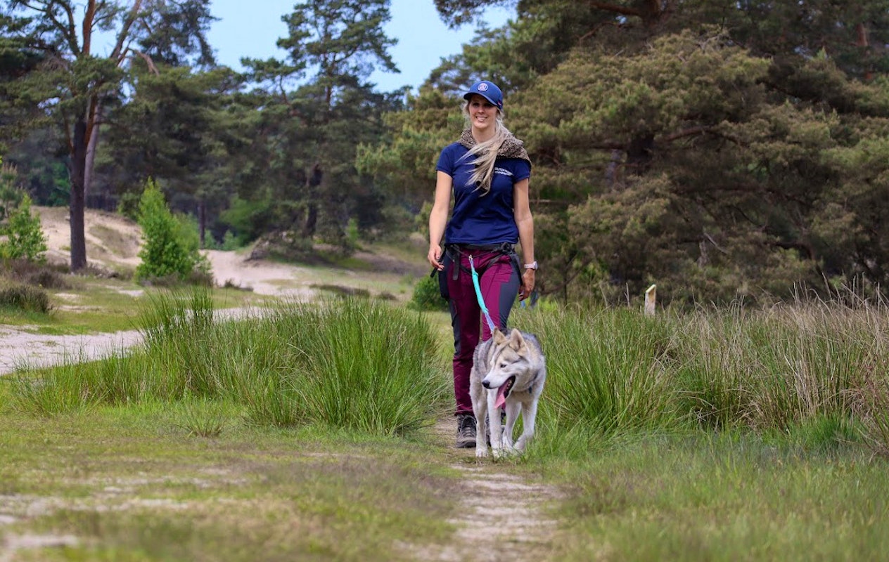 2-daags arrangement met husky's op de Veluwe