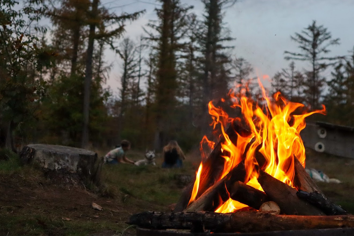2-daags arrangement met husky's op de Veluwe