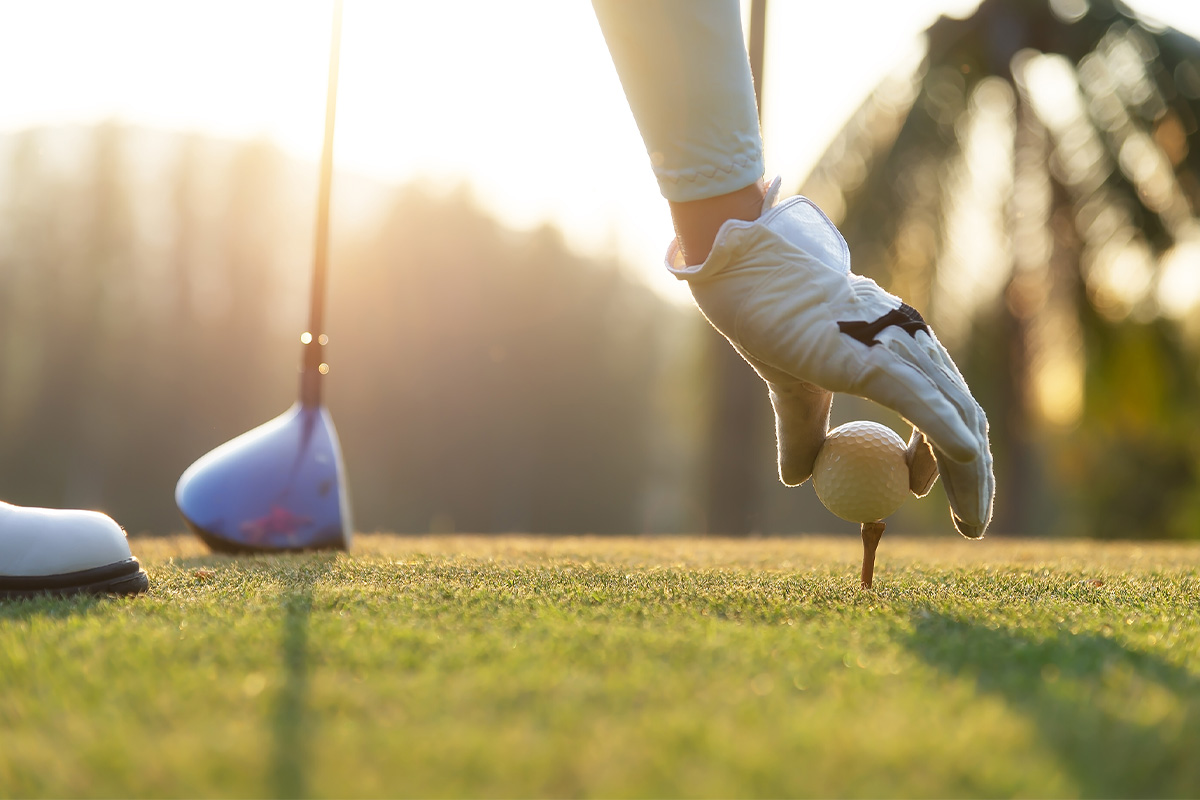 2-Daagse GVB cursus (7 locaties)