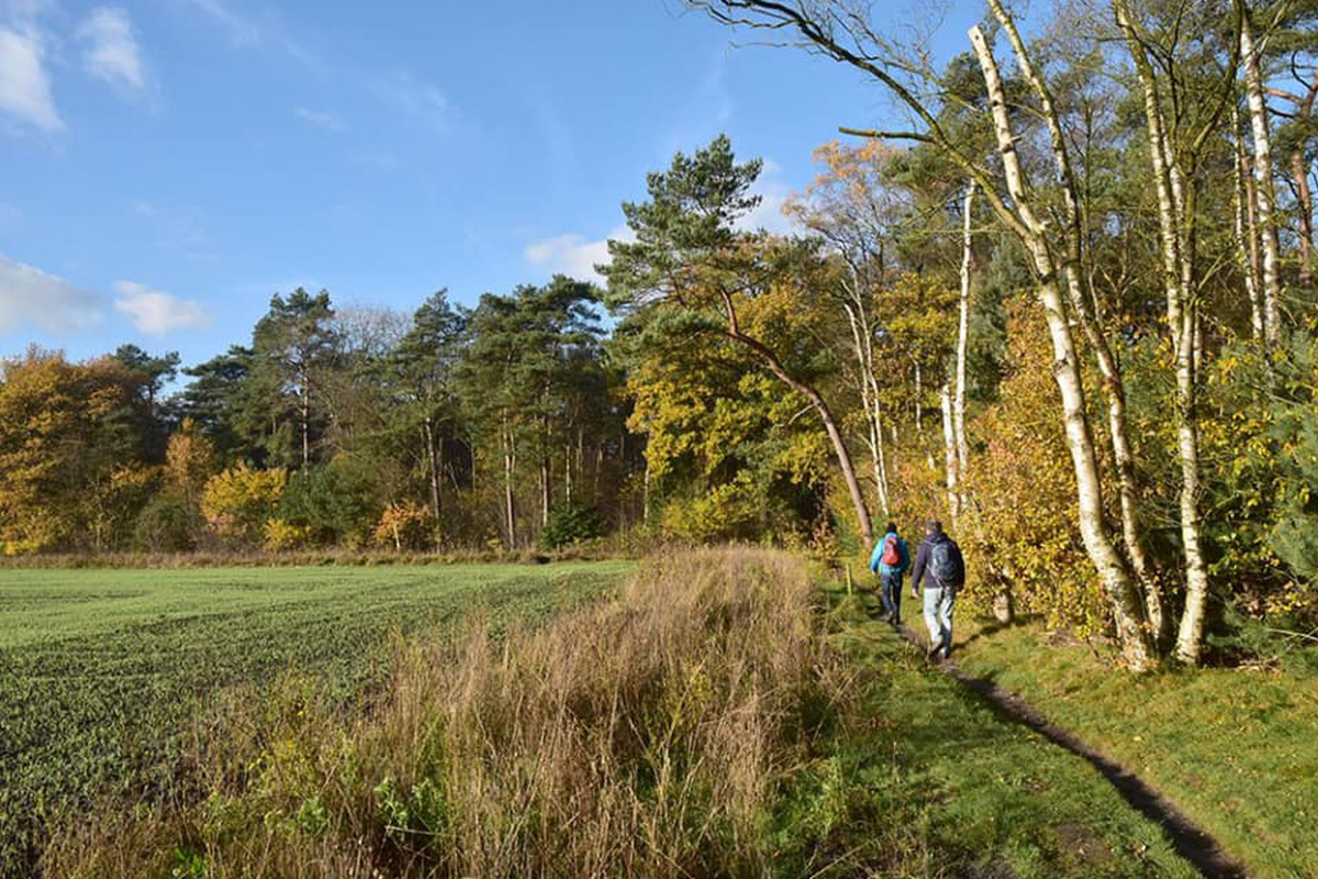 Wandelarrangement bij Eiland van ome Nick