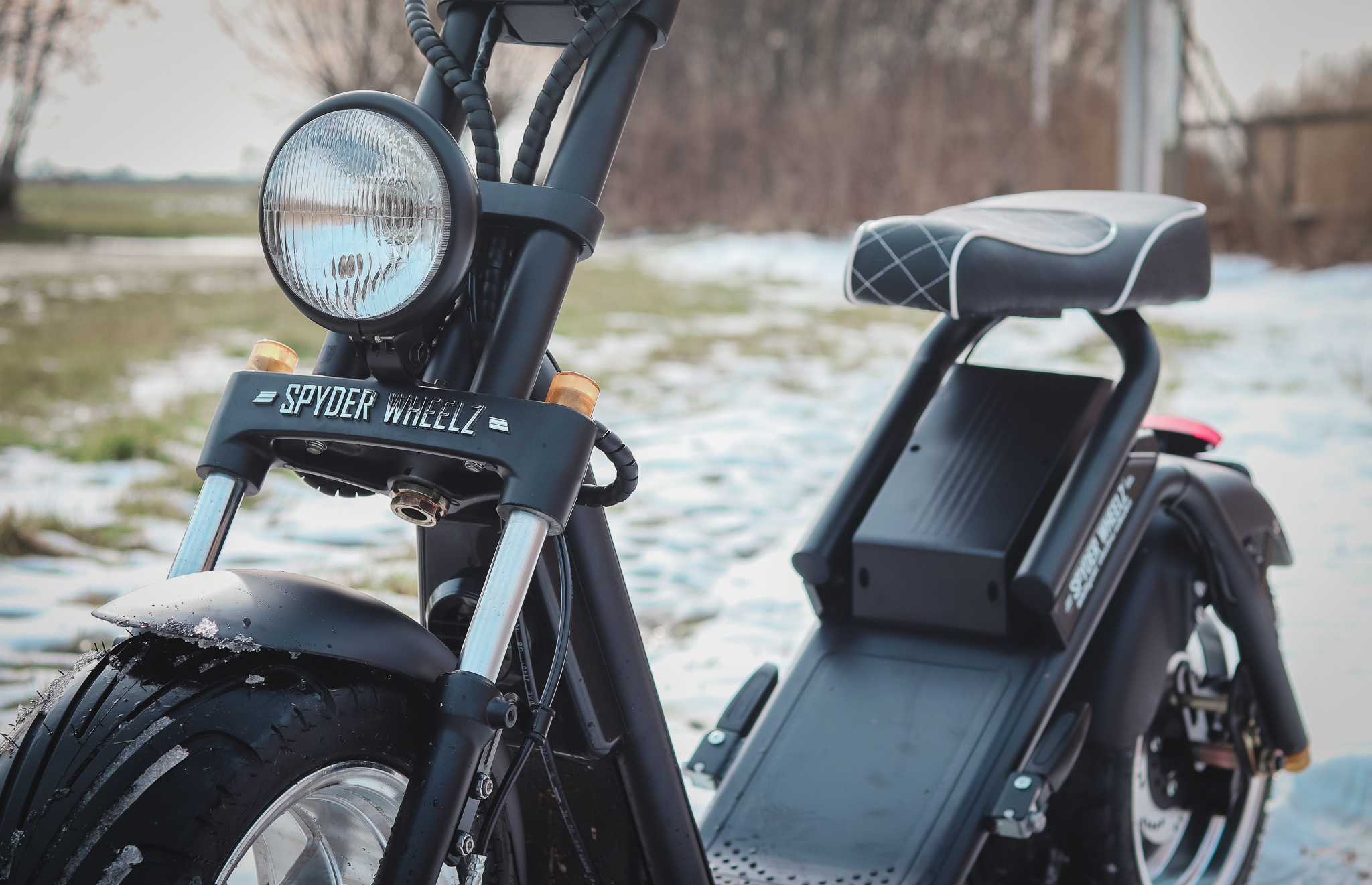 2 of 4 uur durende E-Chopper tocht door de Betuwe