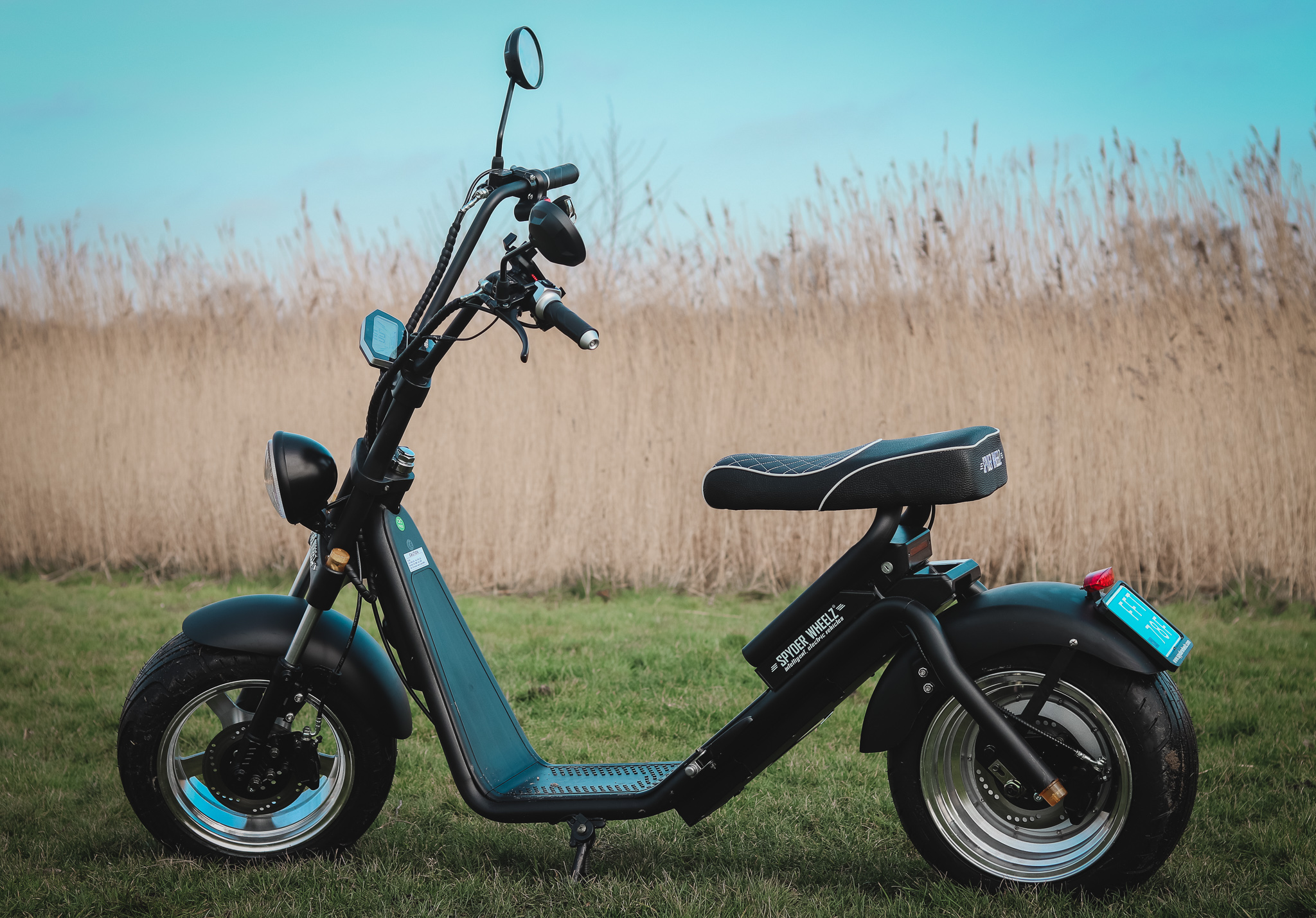 2 of 4 uur durende E-Chopper tocht door de Betuwe