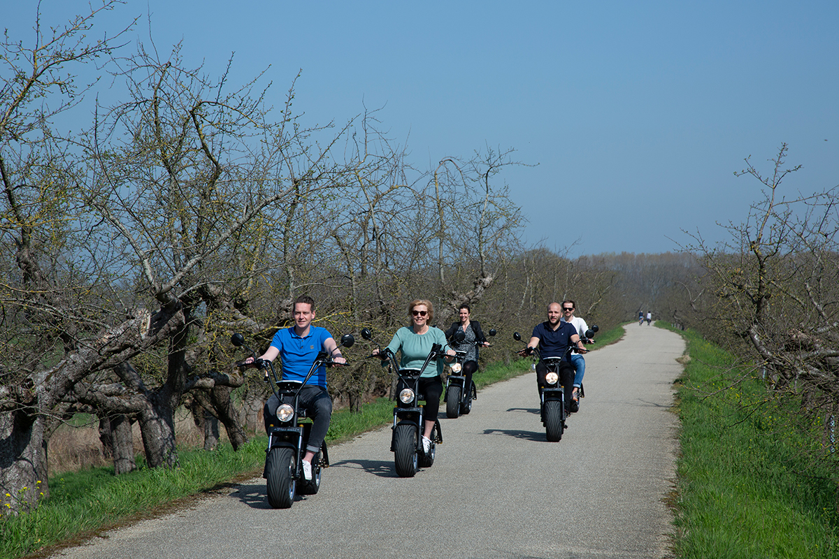 2 of 4 uur durende E-Chopper tocht door de Betuwe