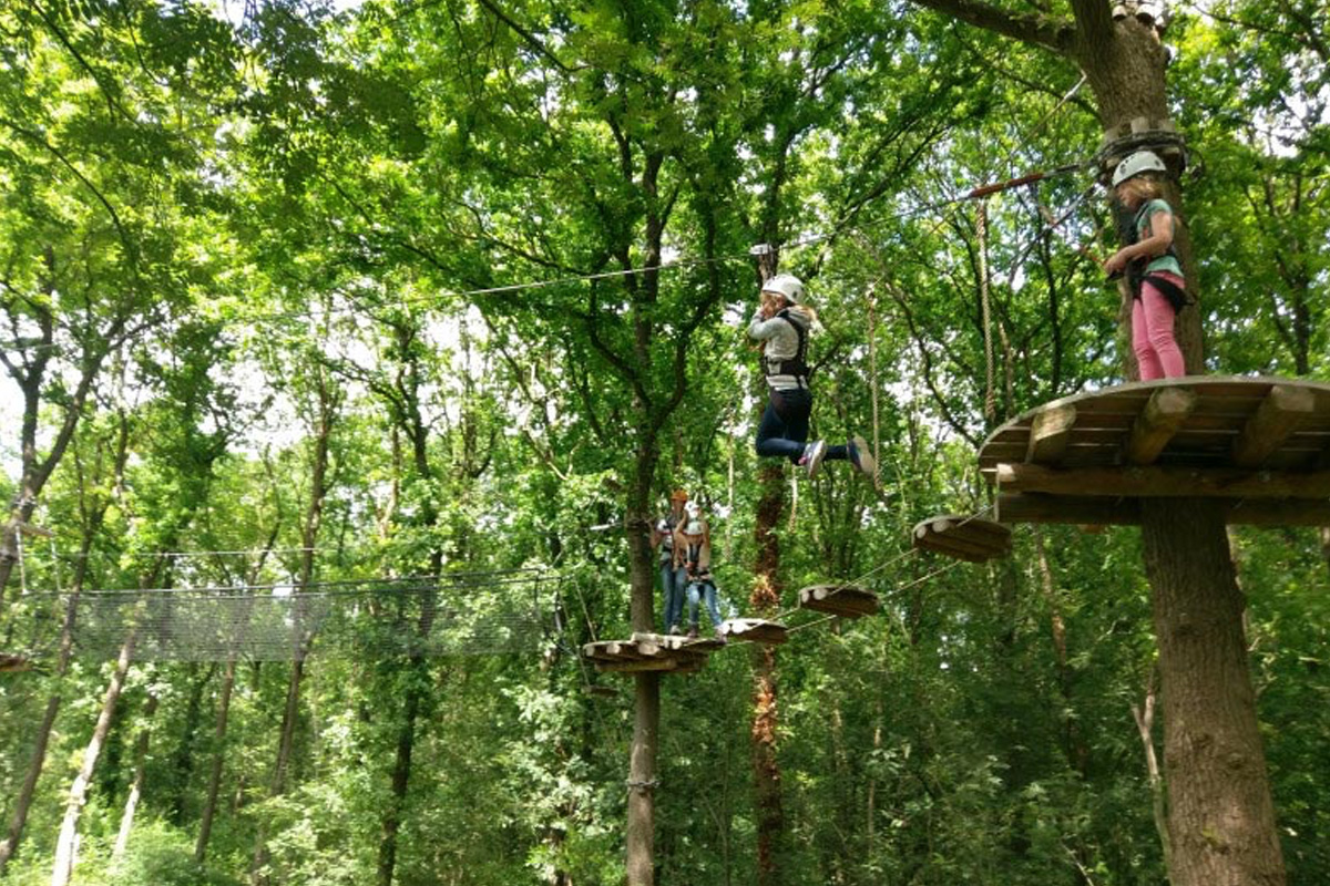 2 uur klimmen bij Klimbos Overijssel