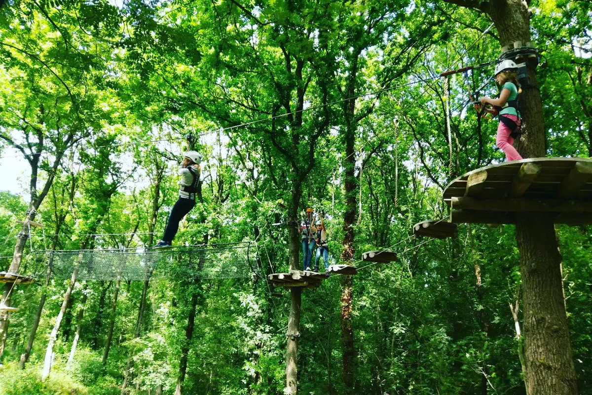 2 uur klimmen bij Klimbos Overijssel