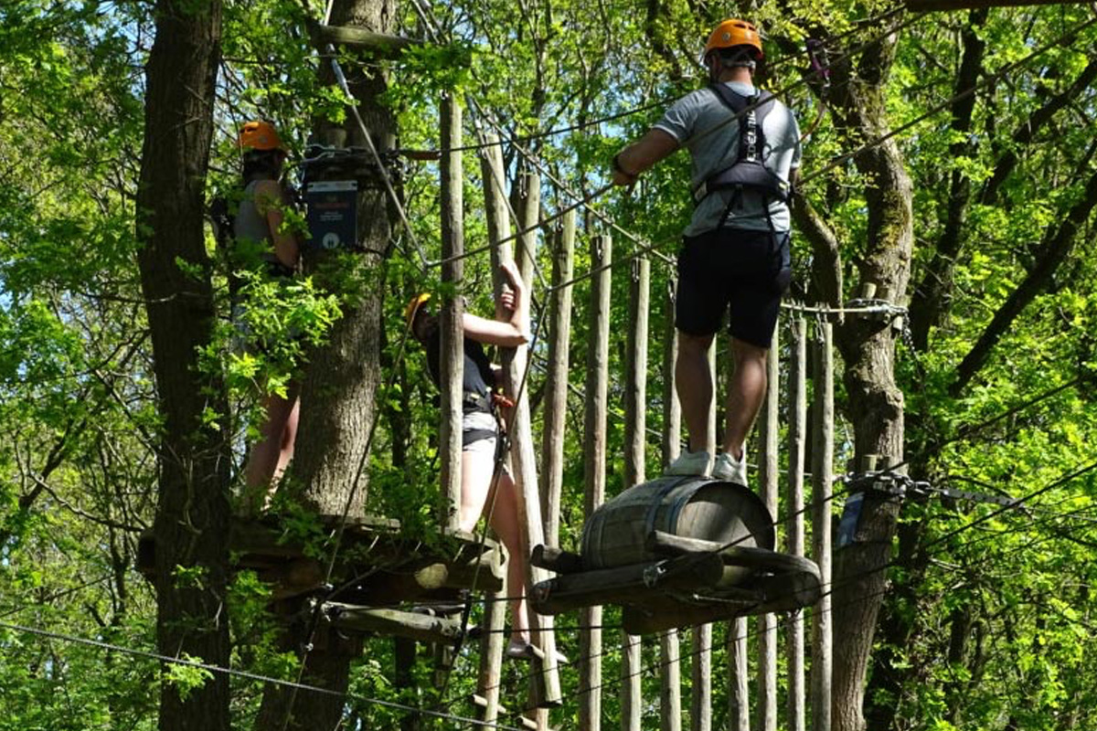 2 uur klimmen bij Klimbos Overijssel