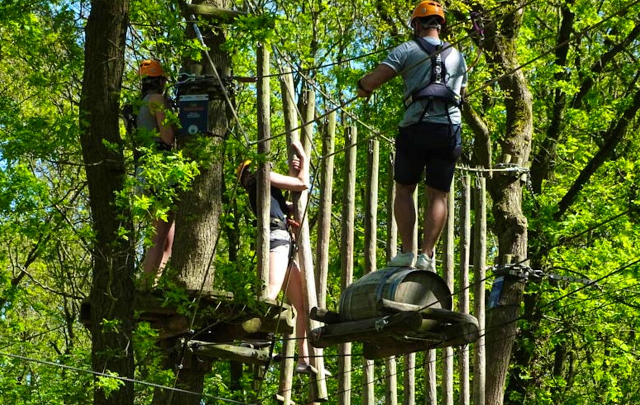 2 uur klimmen bij Klimbos Overijssel