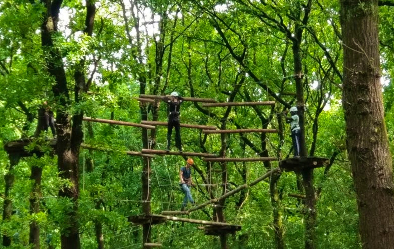 2 uur klimmen bij Klimbos Overijssel