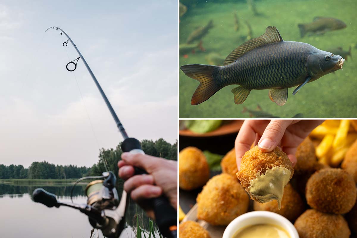 2 uur vissen + bittergarnituur bij Forelvijver de Boshoek 2.0