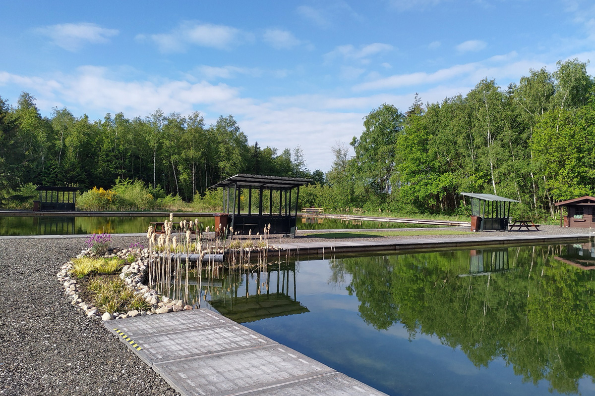 2 uur vissen + bittergarnituur bij Forelvijver de Boshoek 2.0