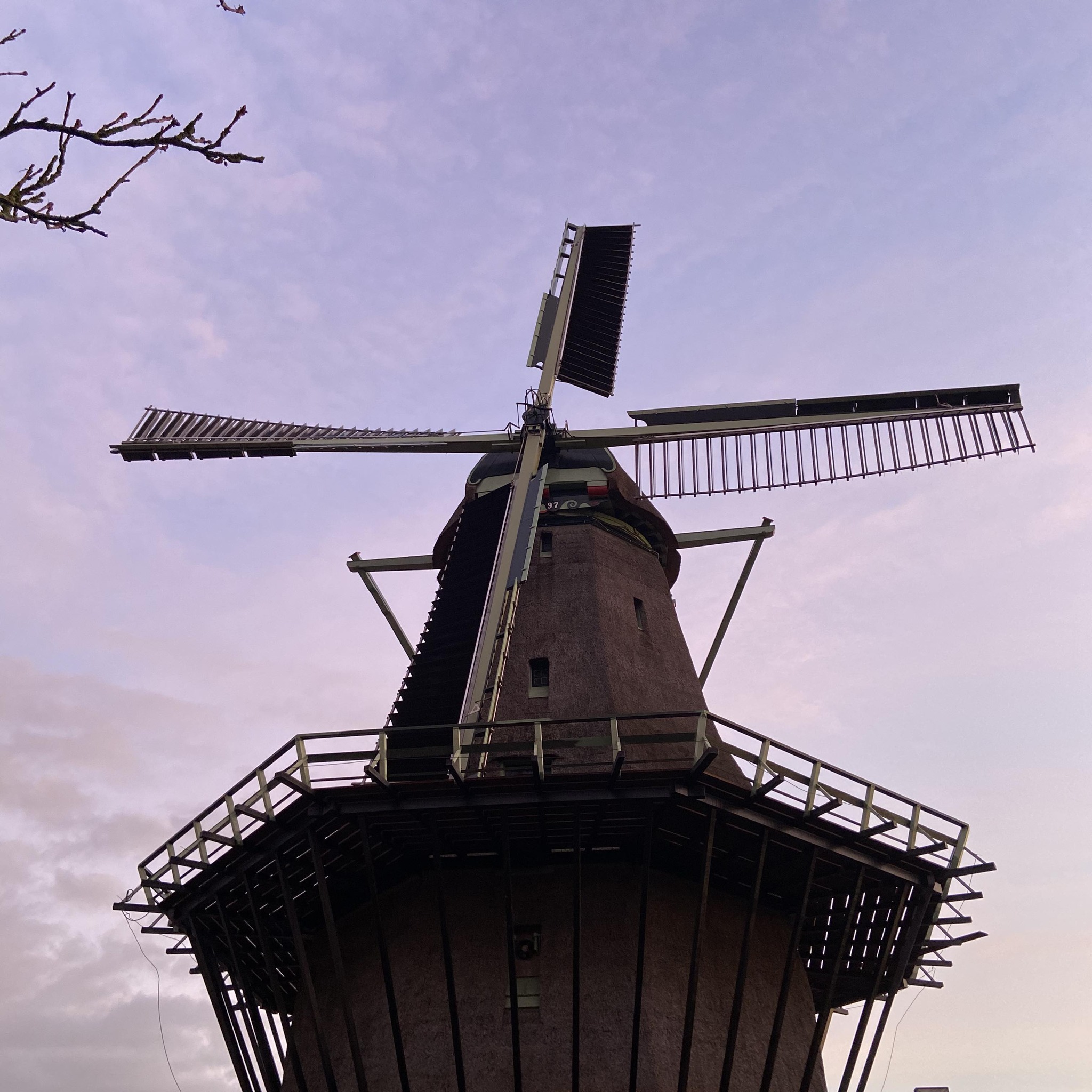 20 ambachtelijke olie-, kwark en/of krentenbollen