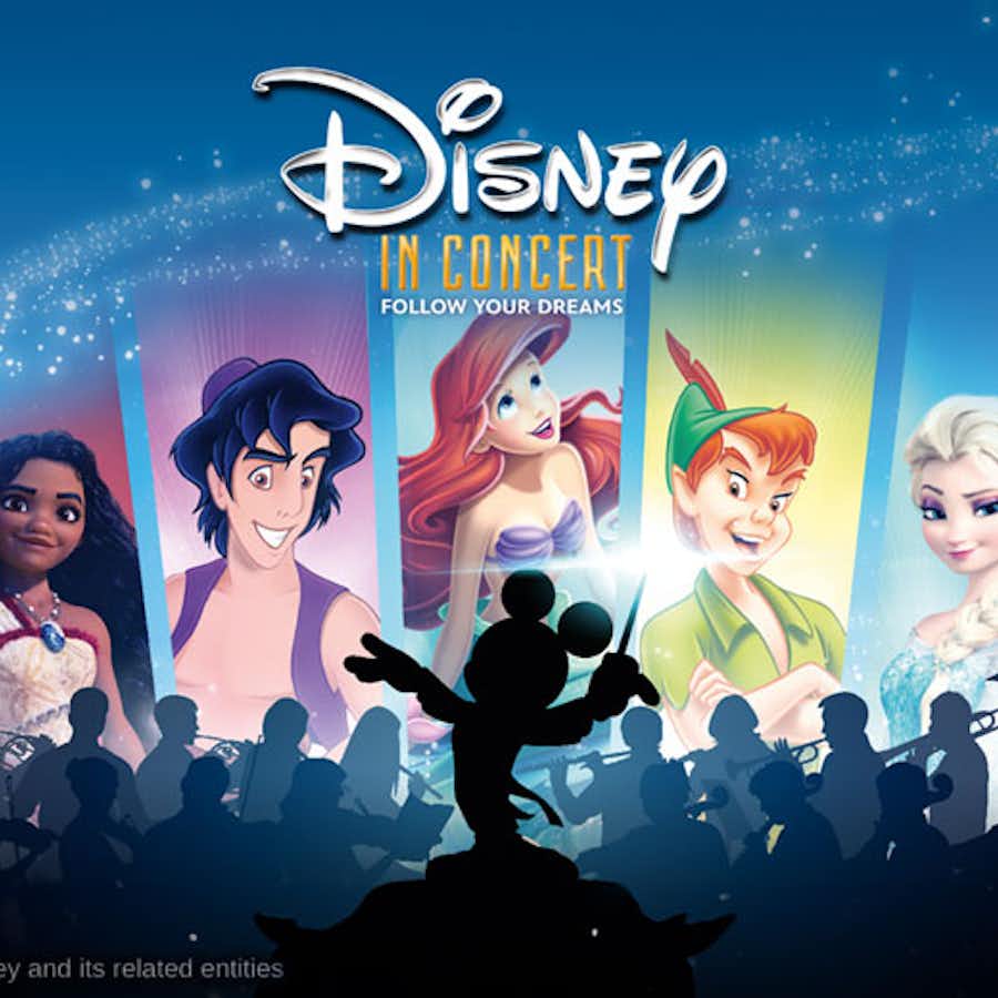 2e rang ticket Disney in Concert