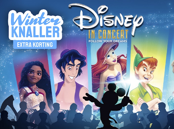 2e rang ticket Disney in Concert