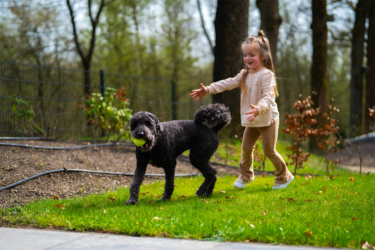 3 of 4 overnachtingen bij Vakantiepark De Rimboe & De Woeste Hoogte