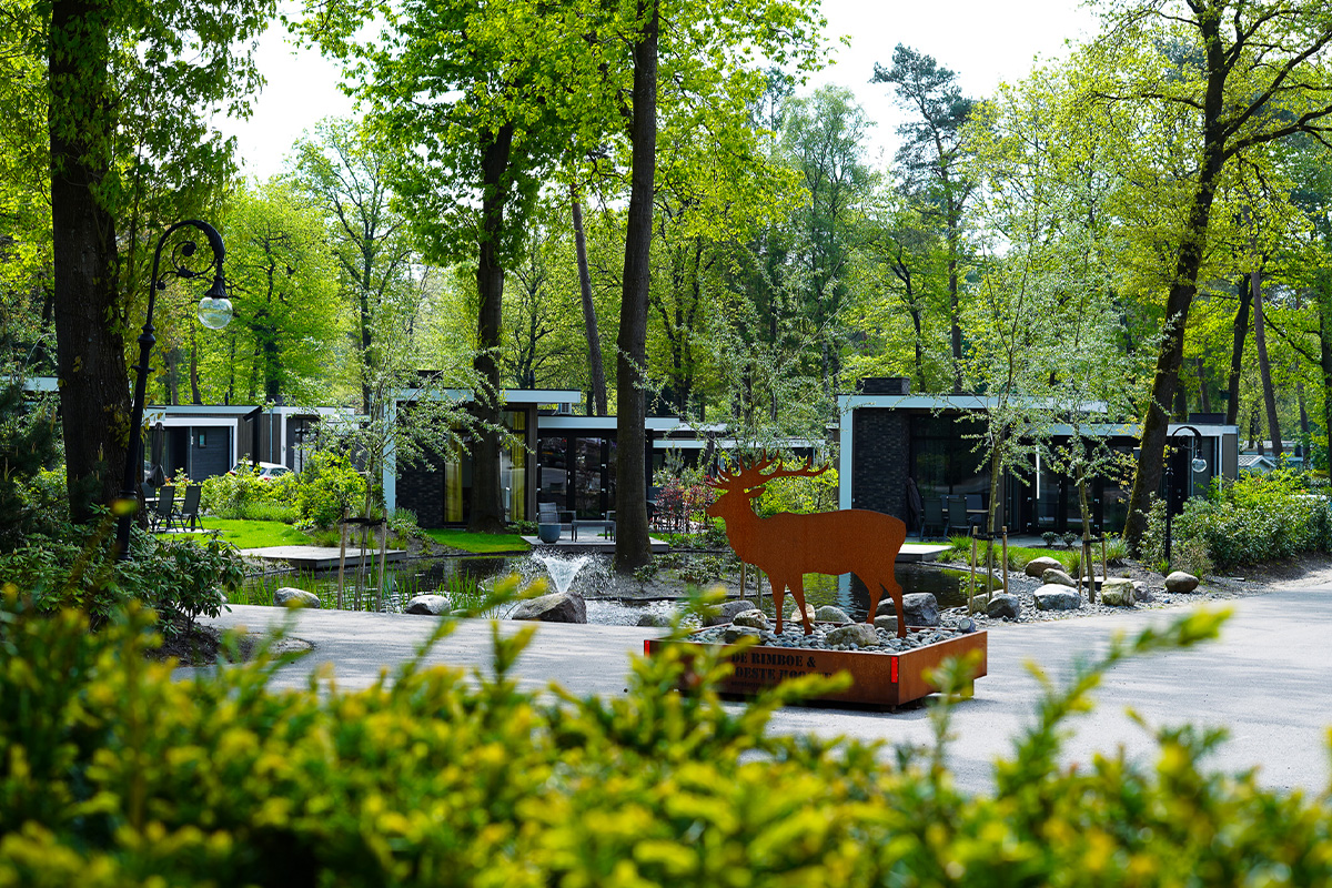 3 of 4 overnachtingen bij Vakantiepark De Rimboe & De Woeste Hoogte
