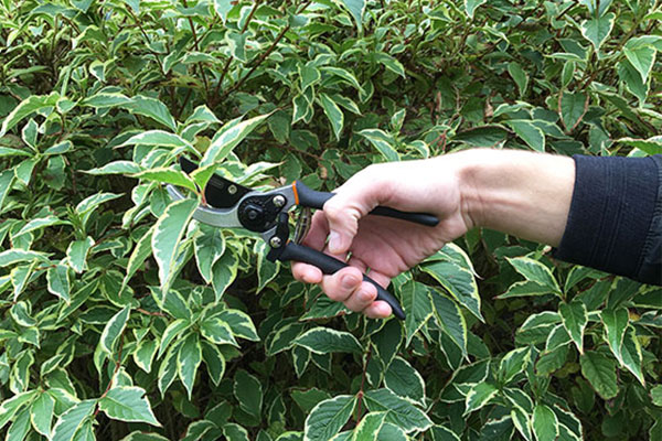 3-delige snoeiset van Black & Decker 