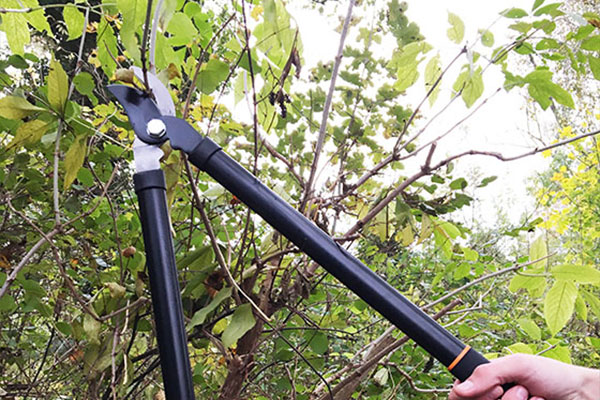 3-delige snoeiset van Black & Decker 