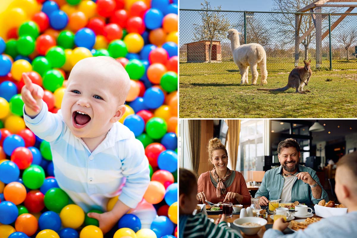 3-gangen keuzediner bij De Dwaze Herder