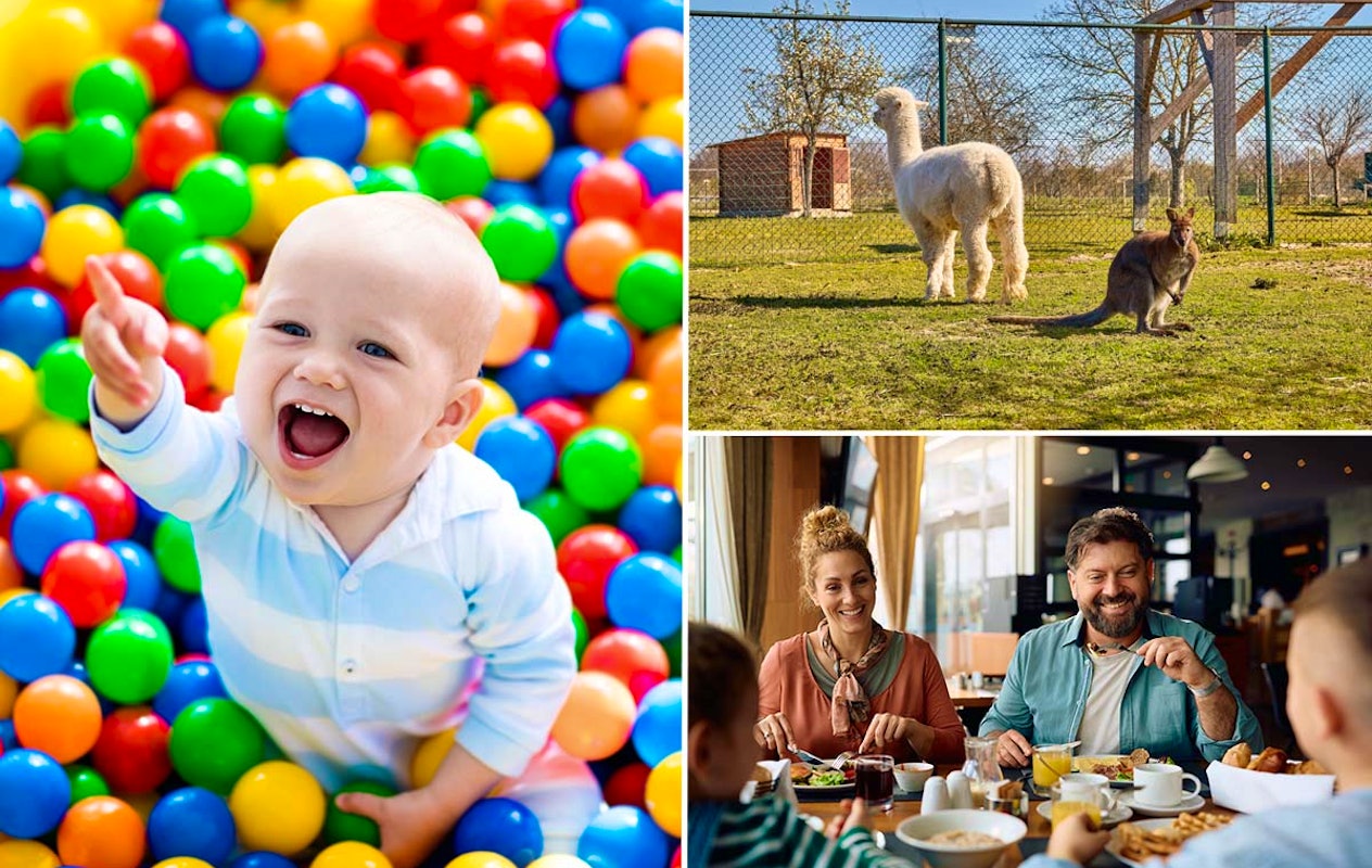 3-gangen keuzediner bij De Dwaze Herder