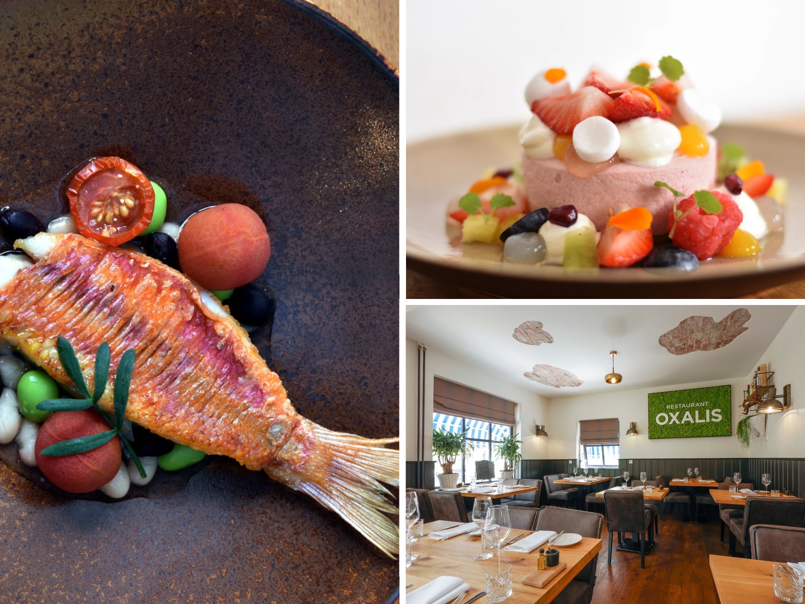 Luxe 5-gangenlunch of -diner bij Restaurant Oxalis