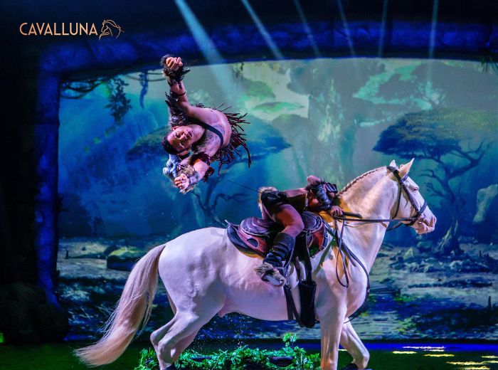 3e rang ticket CAVALLUNA - Grand Moments in Rotterdam Ahoy