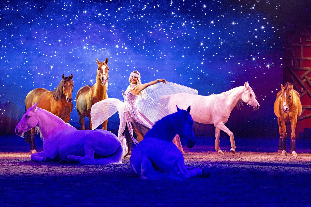 3e rang ticket CAVALLUNA - Grand Moments in Rotterdam Ahoy