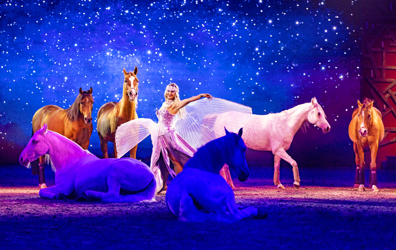 3e rang ticket CAVALLUNA - Grand Moments in Rotterdam Ahoy