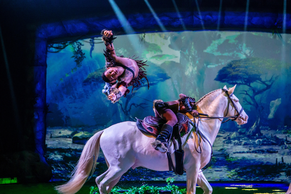 3e rang ticket CAVALLUNA - Grand Moments in Rotterdam Ahoy