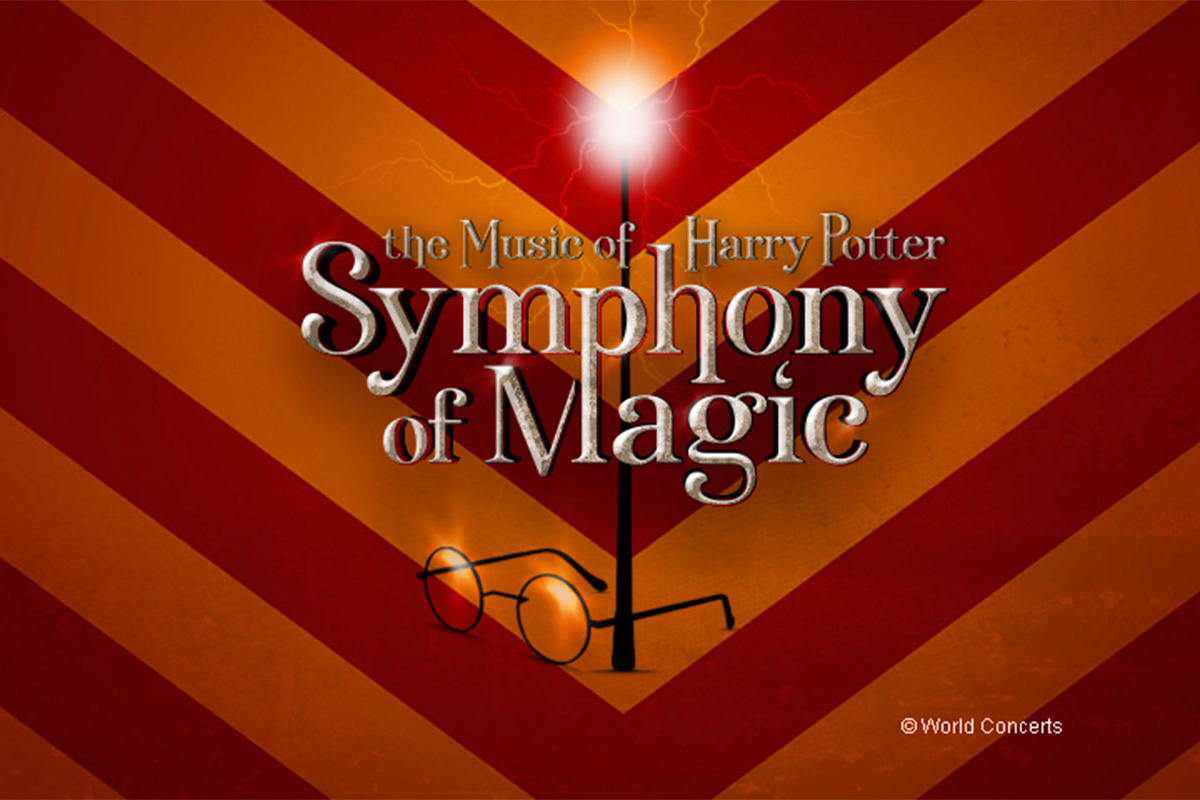2e rang ticket voor The Music of Harry Potter Live