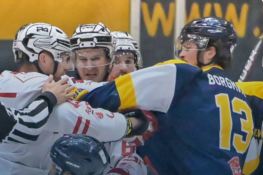 Entreeticket ijshockeywedstrijd Zoetermeer Panters