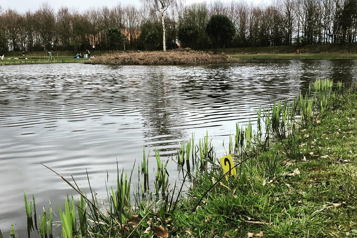4 uur vissen incl. hengel & aas + broodje met snack bij De Slegge