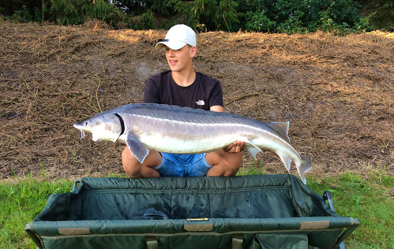 4 uur vissen incl. hengel & aas + broodje met snack bij De Slegge