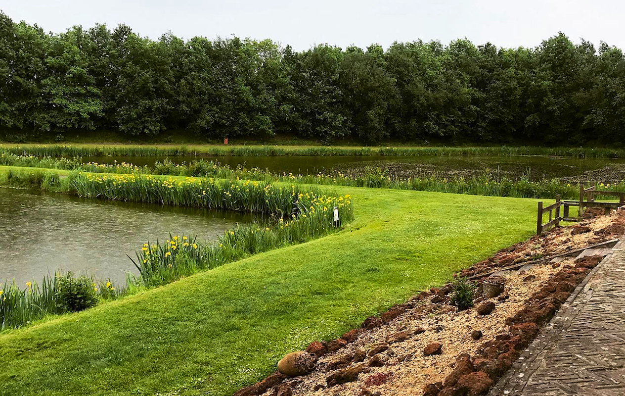 4 uur vissen incl. hengel & aas + broodje met snack bij De Slegge